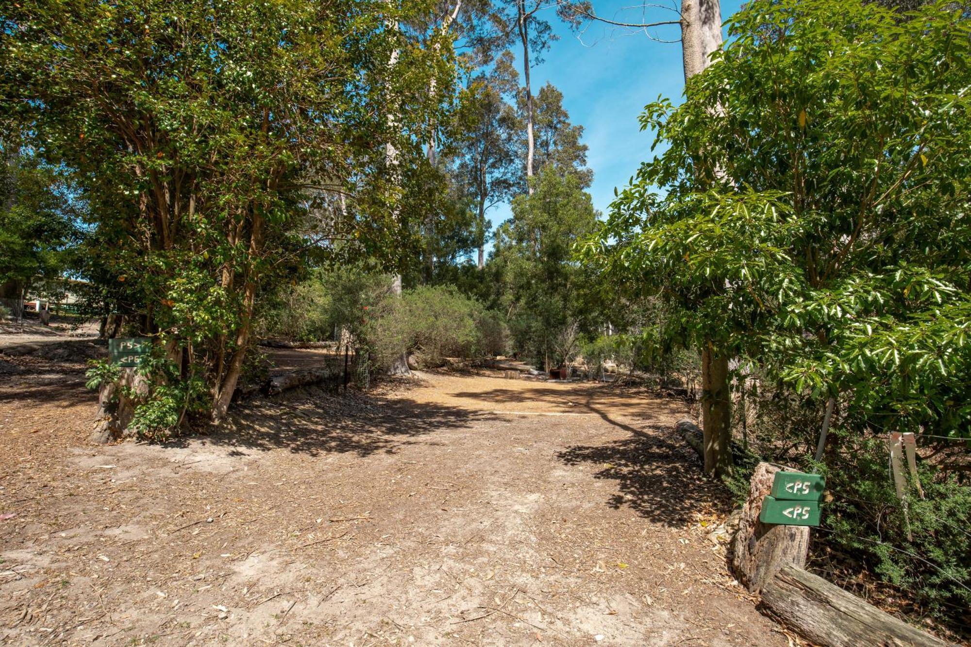 Durras Lake North Holiday Park エクステリア 写真